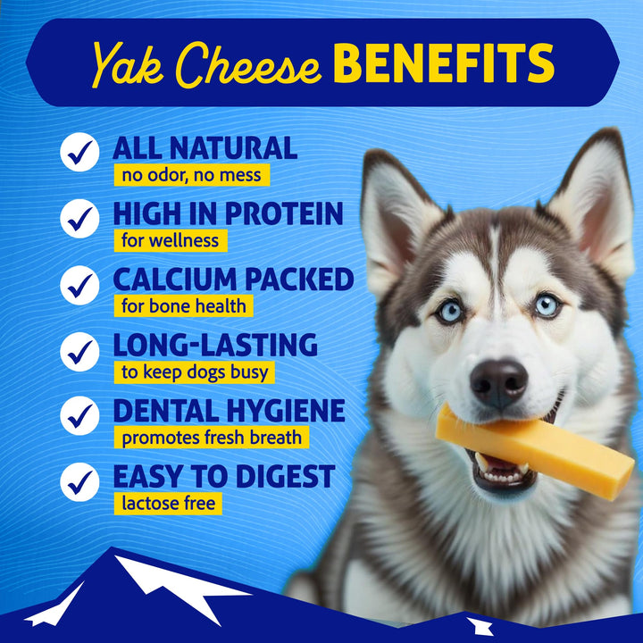 Original Yak Cheese Dog Chew, 1 Medium Stick, 2.3 oz, Gluten Free, Healthy Dog Treats, Grain & Lactose Free 100% Natural, Long Lasting Dog Chews for Dogs Under 35 lbs