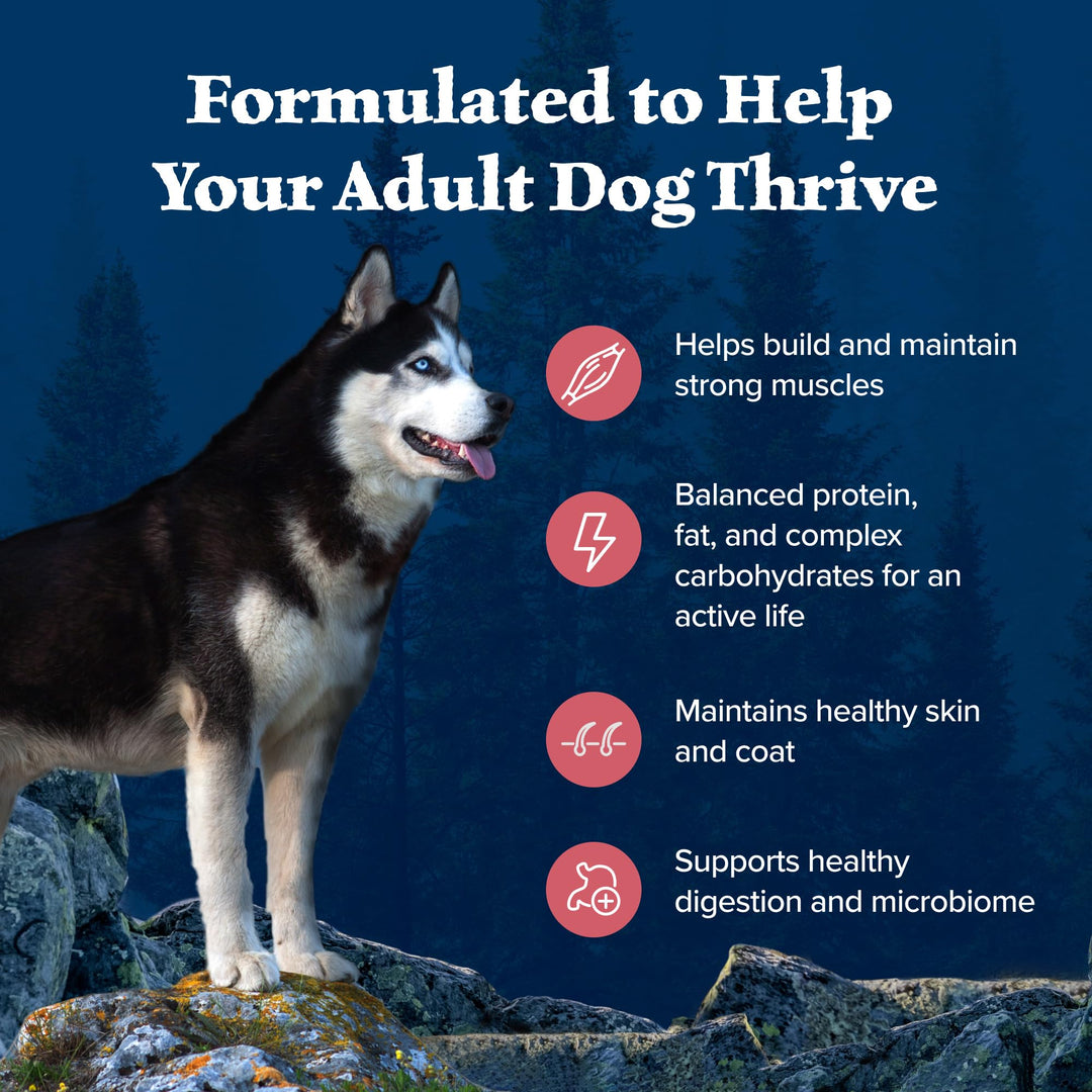 Wilderness Adult High-Protein Dry Dog Food with Real Salmon, Grain-Free, Made in the USA with Natural Ingredients, Salmon, 24-lb Bag