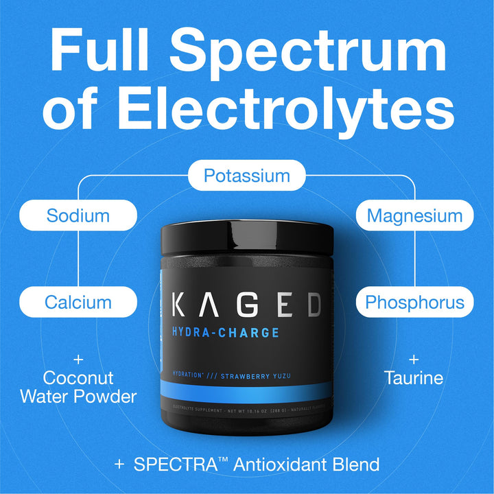 Electrolyte Hydration Powder | Hydracharge Apple Limeade | Sports Drink for Men and Women | Pre, Post, Intra Workout Supplement | 60 Servings