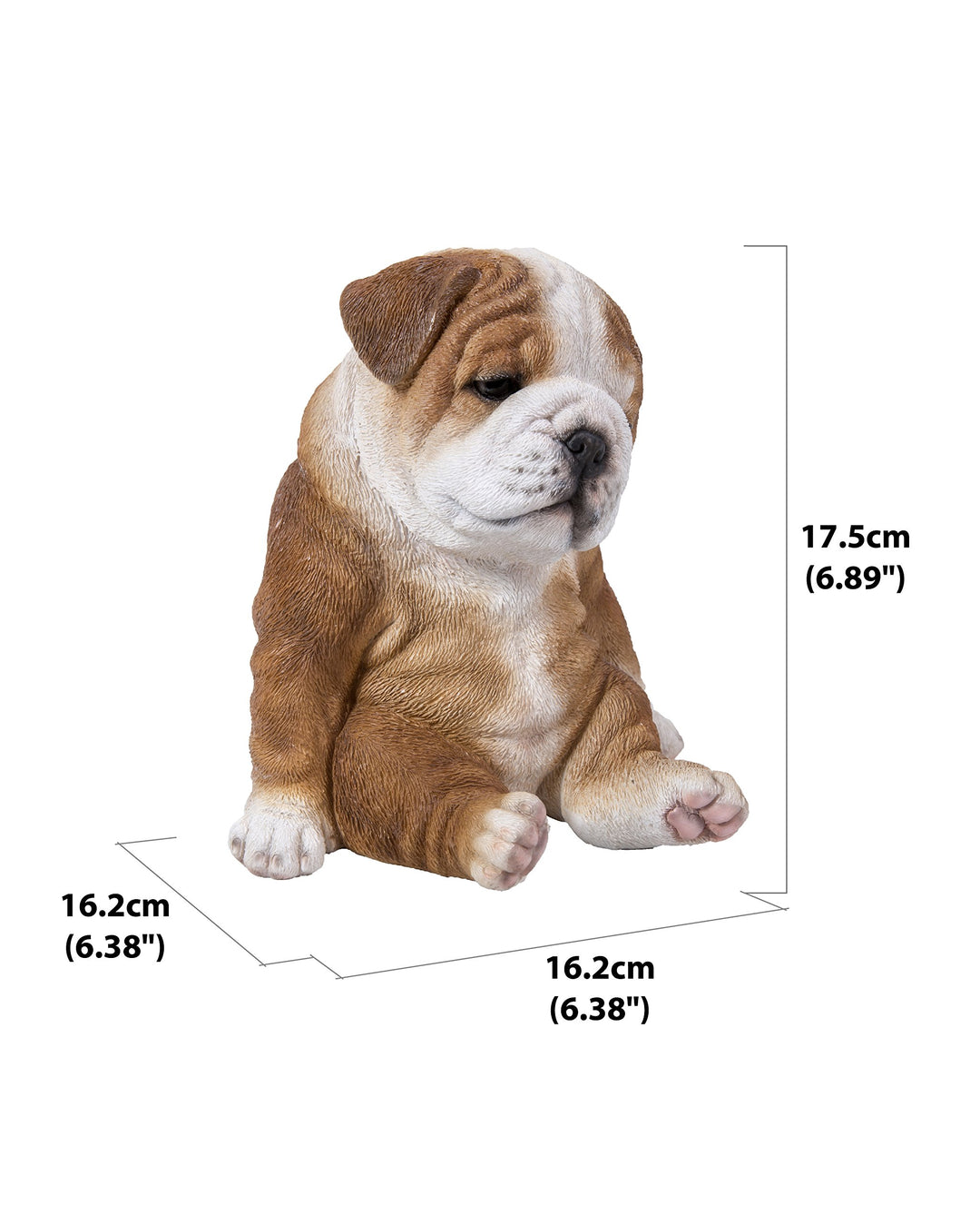 Sitting Sleepy Bulldog Puppy