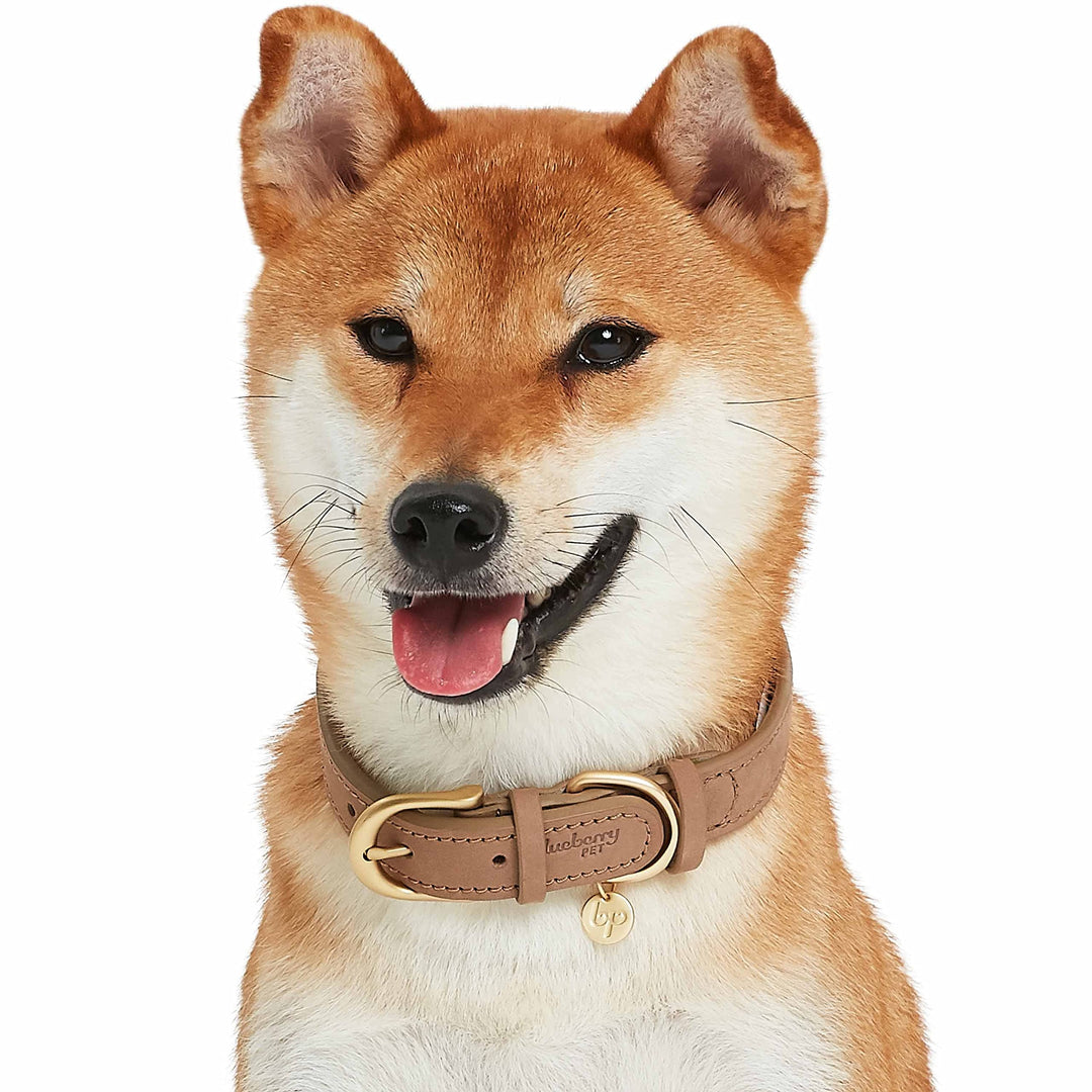 Soft & Comfy Genuine Full Grain Leather Adjustable Dog Collar - Beige, Large, Neck 18-22