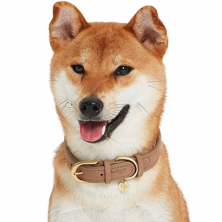 Soft & Comfy Genuine Full Grain Leather Adjustable Dog Collar - Beige, Large, Neck 18-22