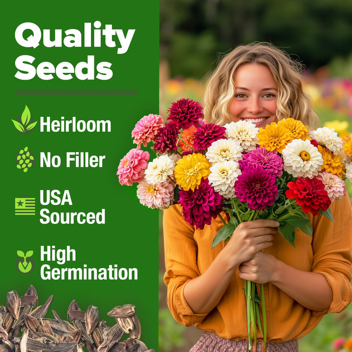 Zinnia Dahlia Seeds Pack for 2025 – 524 - Flower Seeds | Vibrant Zinnia Elegans for Pollinator Gardens, Borders & Containers | Easy-to-Grow Outdoor Blooms
