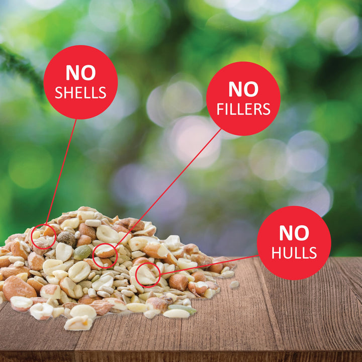 Delite Wild Bird Seed - No Waste Bird Food Mix with Shell-Free Nuts & Seeds - Attracts Buntings, Chickadees & Finches - 5 lb bag