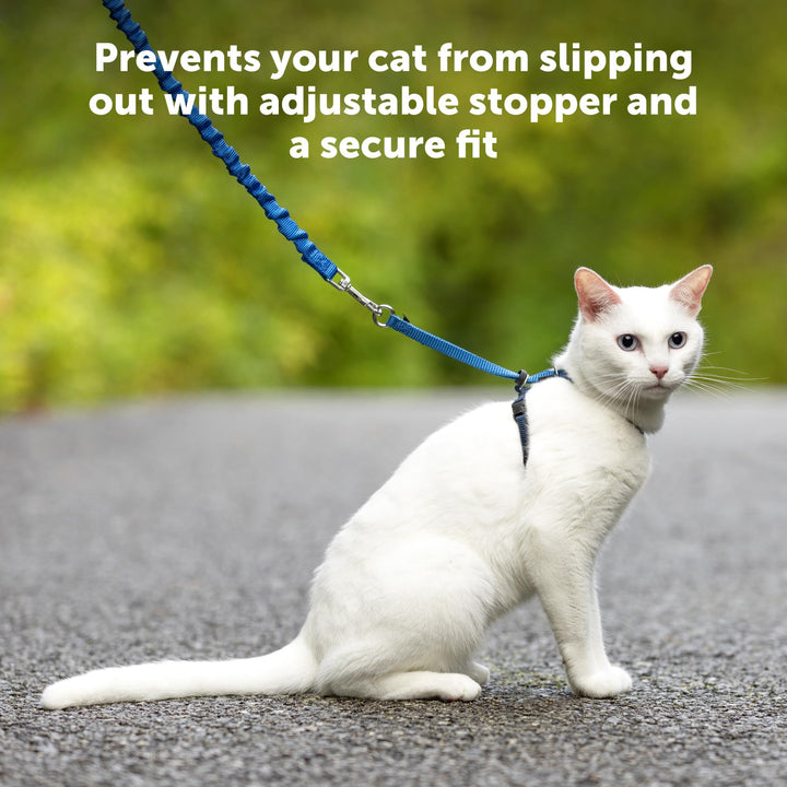Come with Me Kitty Harness and Bungee Leash, Medium, Lime