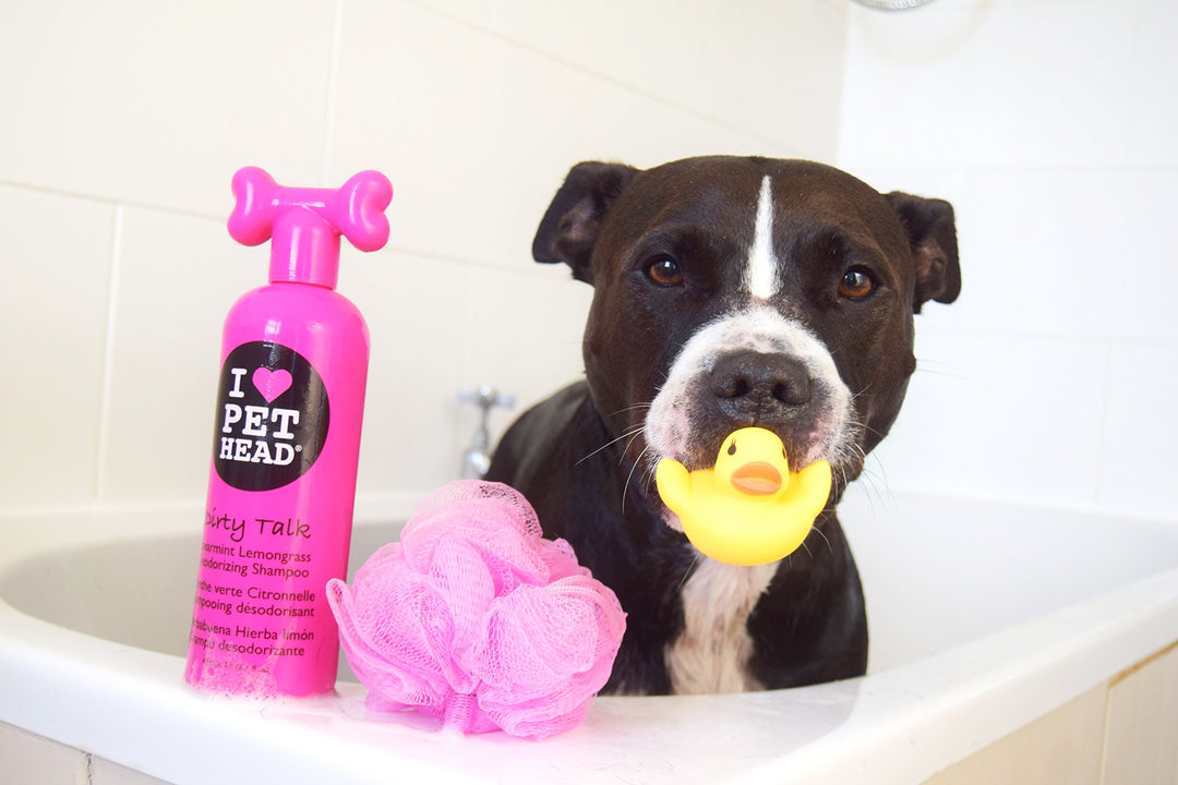 PET HEAD Life's An Itch Soothing Shampoo