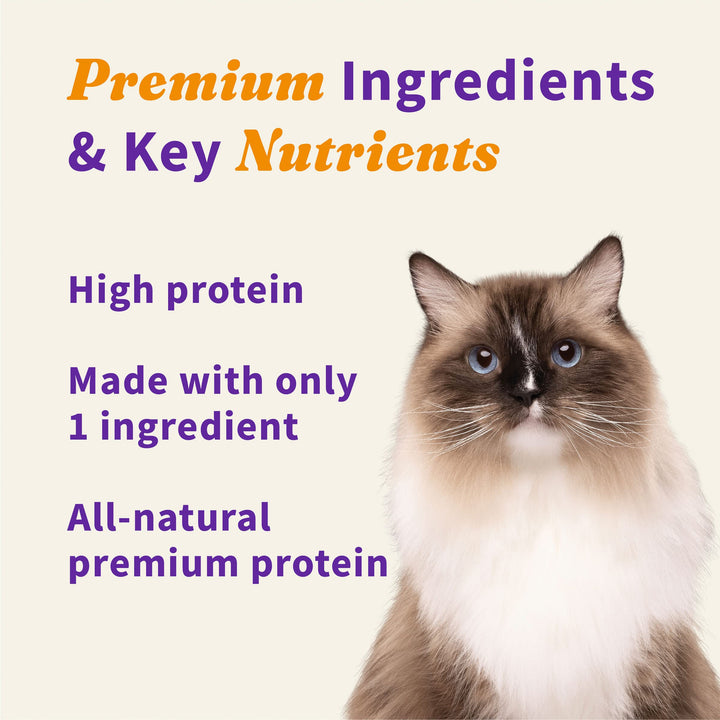 Freeze Dried Raw Cat Treats, 100% Wild Caught Salmon Recipe, Cat Treats Pouch, All-Natural High Protien Treat, 1.6 Oz Pouch
