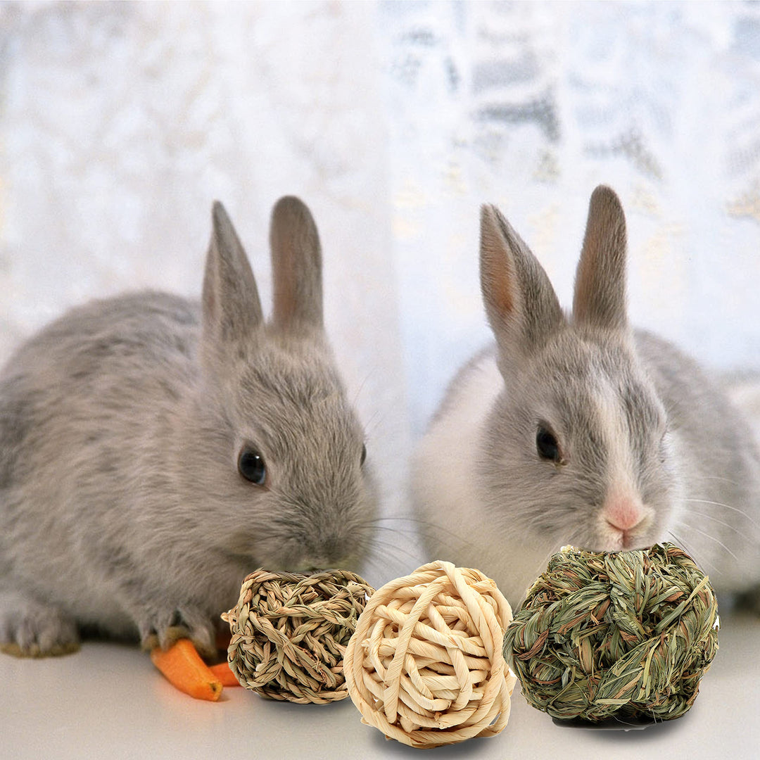 8 Pack Small Animal Activity Toys, Assorted Rabbit Balls, Chewable Teething Activity Toys for Bunny, Rabbit, Hamster, Guinea Pig