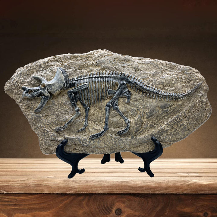 Resin Triceratops Dinosaur Fossil Statue Model Simulated Skeleton Home Office Display Decorative Craft Box Decoration (Style 6)