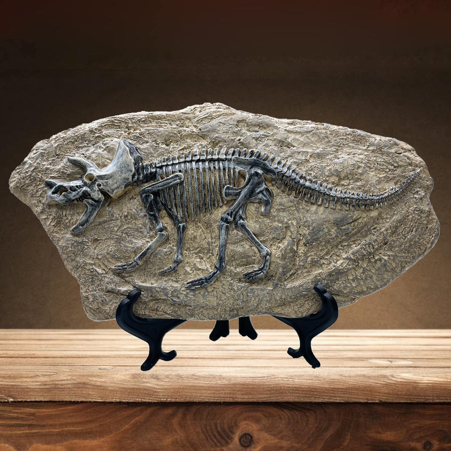 Resin Triceratops Dinosaur Fossil Statue Model Simulated Skeleton Home Office Display Decorative Craft Box Decoration (Style 6)