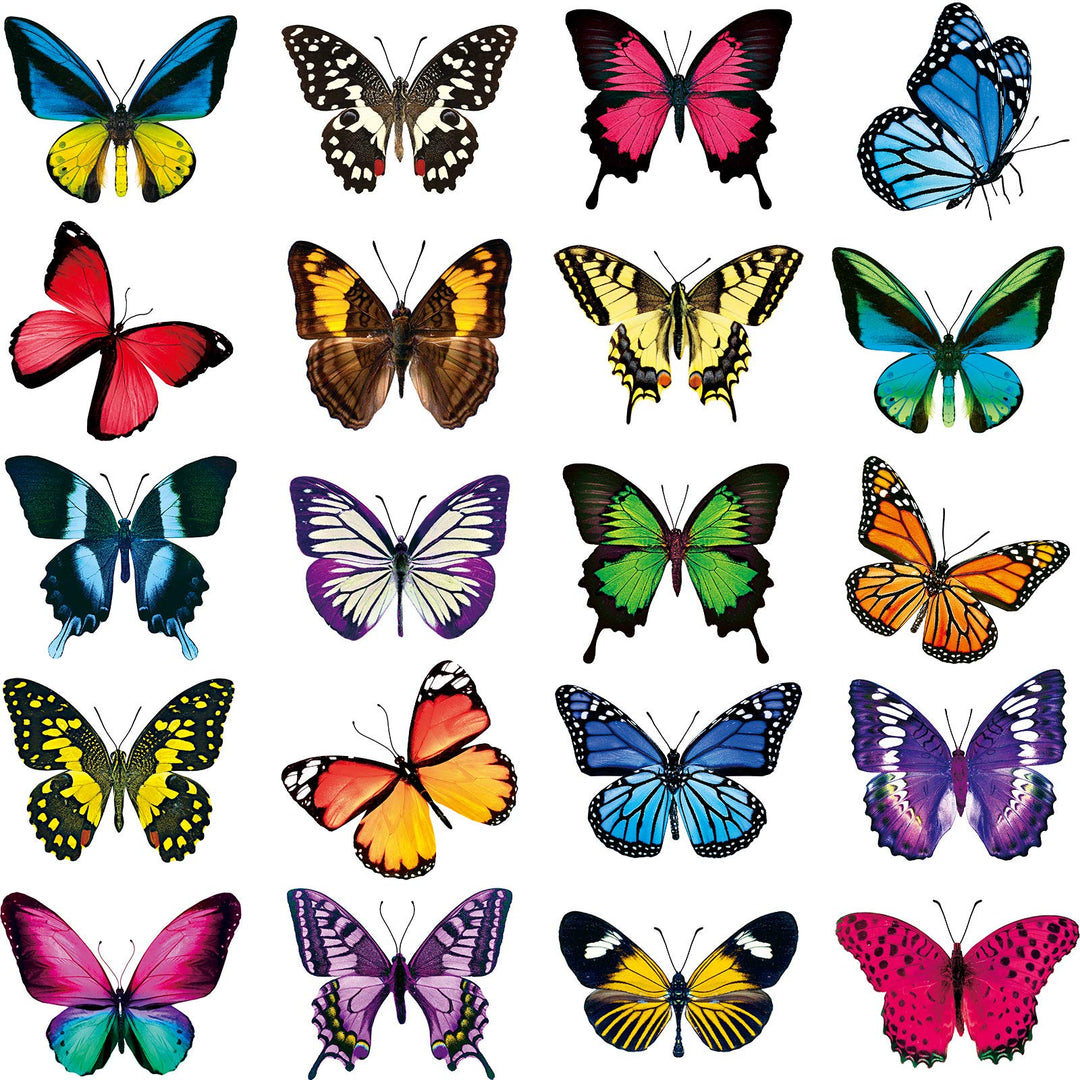 Large Size Butterfly Window Clings Anti-Collision Window Clings Decals to Prevent Bird Strikes on Window Glass Non Adhesive Vinyl Cling Butterfly Stickers(40 Pieces)