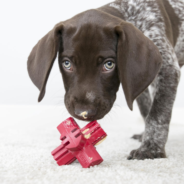 Jump'N Jack - Dog Toy for Chewing Instincts- Natural Rubber Toy Promotes Dental Health - Use with Dog Treats or Peanut Butter for Extended Entertainment - for Large Dogs