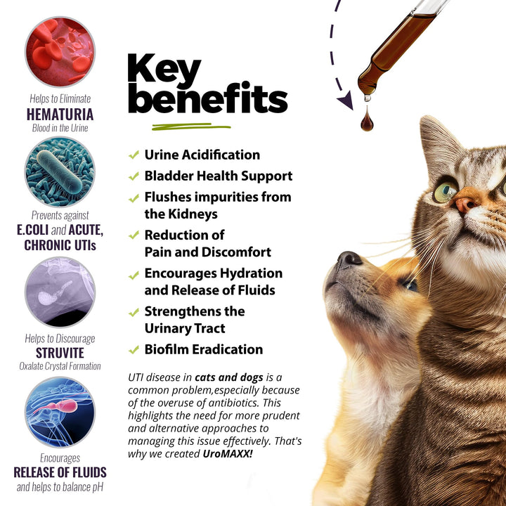 , Cat & Dog Urinary Tract Treatment, Bladder & Kidney Support for Dogs and Cats, Powerful Yet Gentle Pet Care, with Liquid Cranberry & Glucosamine, Chicken Flavor, 6 oz Bottle, 1 Pack