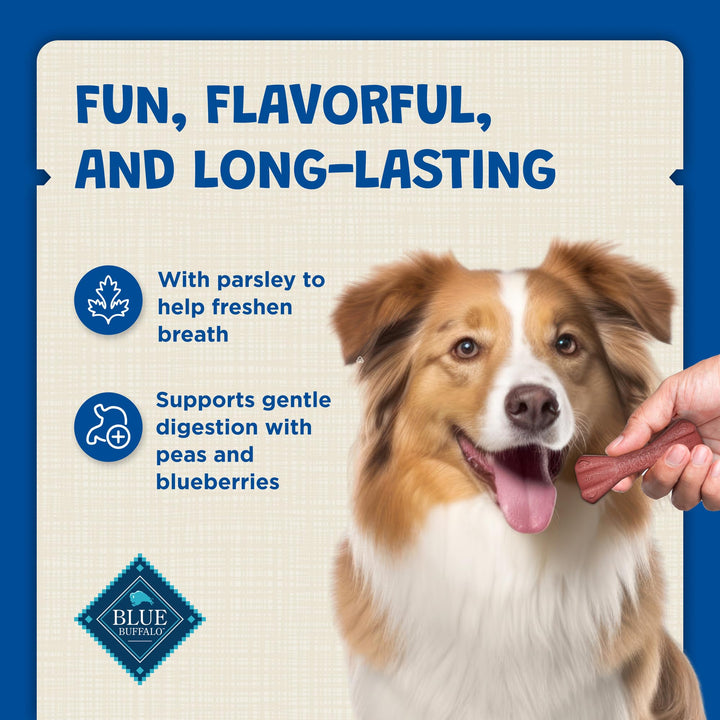 Dental Bones Mini Natural Dental Chew Dog Treats Bag Value Pack