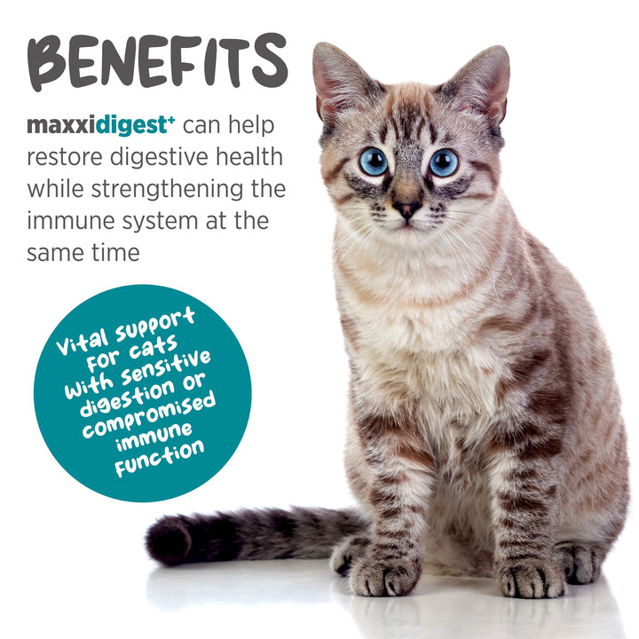 maxxidigest+ Probiotic & Prebiotic Powder Supplement - Digestive & Immune Support for Cats, 7oz
