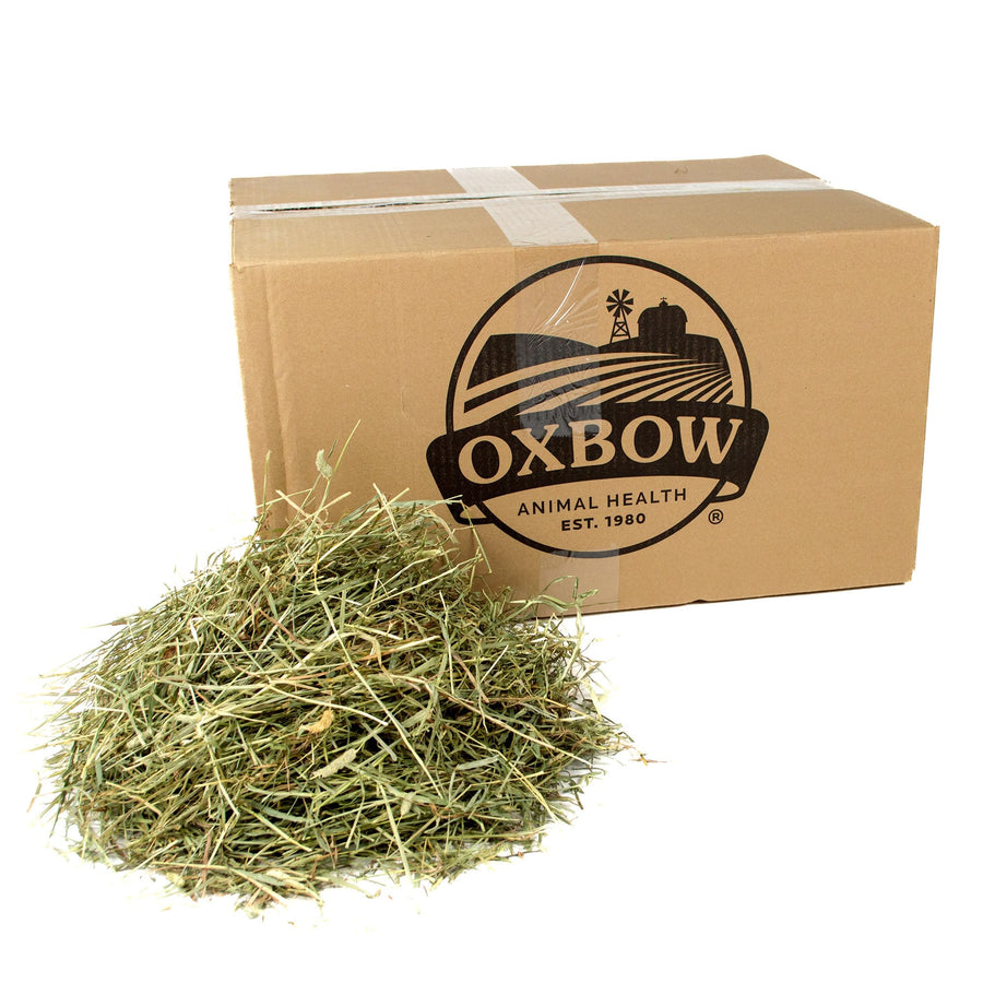 Animal Health Western Timothy Hay, Guinea Pig Hay, Small Pet Bunny Supplies, All Natural Grass for Guinea Pig, Bunny, Chinchilla & Hamster, Rabbit Supplies for Bunnies, 25 lb box