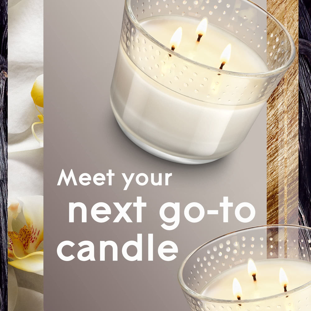 3-Wick Candle Sheer Vanilla Embrace 3 Pack, fragrance Candle Infused With Essential Oils, Air Freshener Candle, 6.8oz