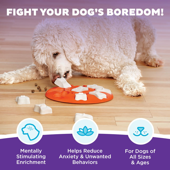 by Nina Ottosson Dog Smart Treat Puzzle Enrichment Toy, Level 1 Beginner, Orange