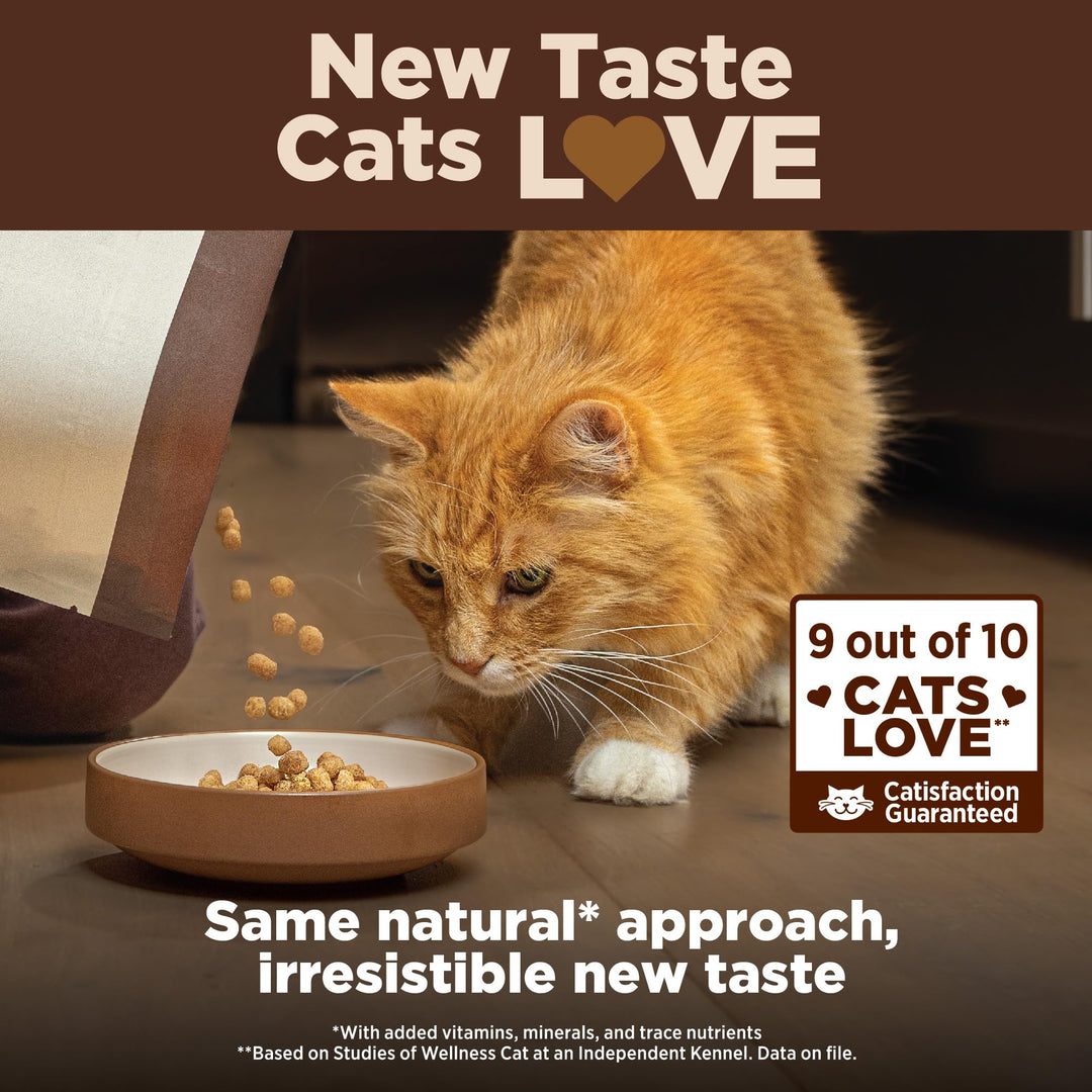 CORE+ Adult Dry Cat Food for Indoor Cats, Grain Free, Natural, Chicken, Turkey & Chicken Meal (11 Pound Bag)