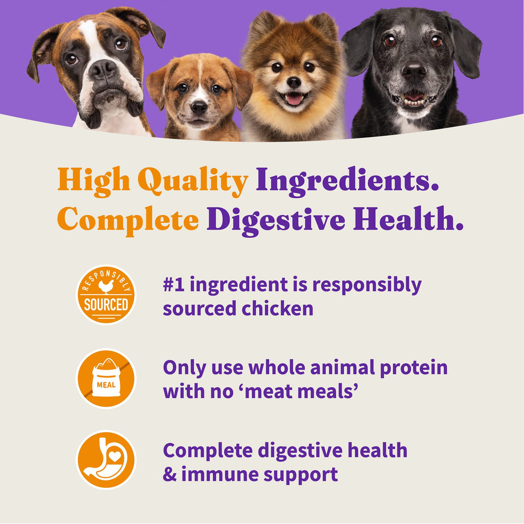 Holistic Small Breed Dog Food, Cage Free Chicken & Brown Rice Recipe, Healthy Grains Dry Dog Food, Complete Digestive Health, 10 lb Bag