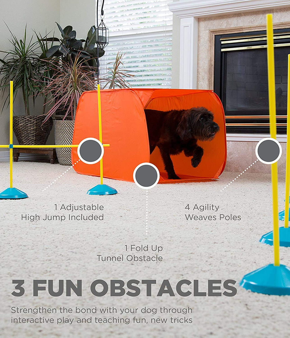 Zip & Zoom Indoor Dog Agility Training Kit for Dogs