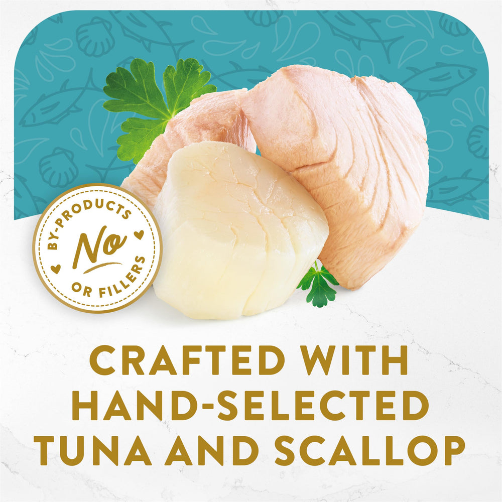 Appetizers Lickable Grain Free Wet Cat Food Topper Light Meat Tuna Appetizer with Scallop - (Pack of 10) 1.1 oz. Trays