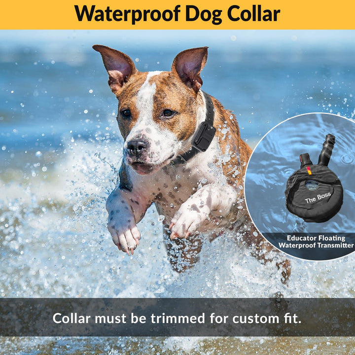 E-Collar Humane Dog Training Collar with Remote, Features 100 Levels of Safe Stimulation, Tapping Sensation, Night Light, Waterproof, Rechargeable, 1 Mile 1 Dog, Black
