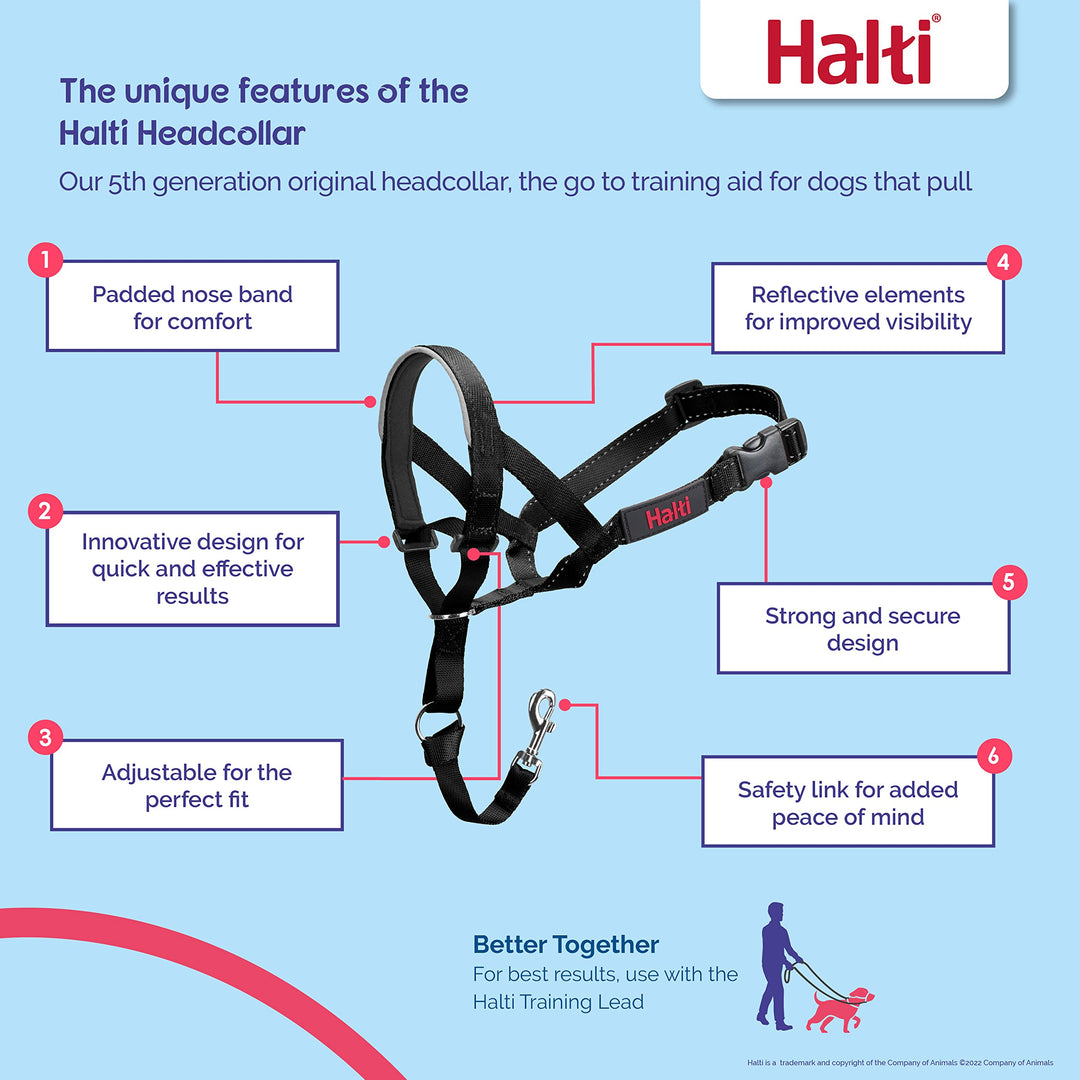 HALTI Headcollar Size 3, Black & HALTI Training Leash Size Large, Black Combination Pack - Stop Your Dog Pulling on the Leash. Adjustable, Lightweight with Padded Nose Band. Suitable for Medium Dogs