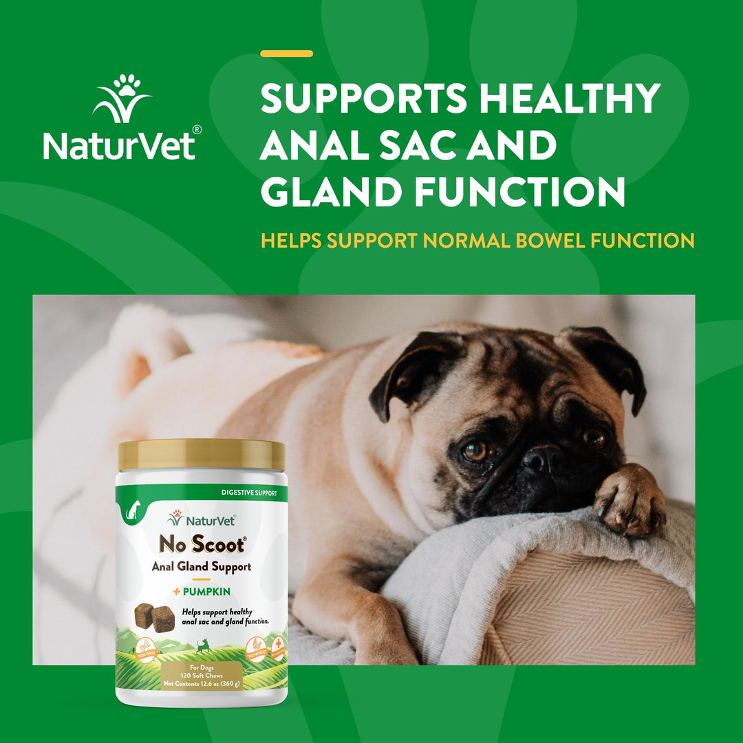 - No Scoot for Dogs - 120 Soft Chews - Plus Pumpkin - Supports Healthy Anal Gland & Bowel Function - Enhanced with Beet Pulp & Psyllium Husk