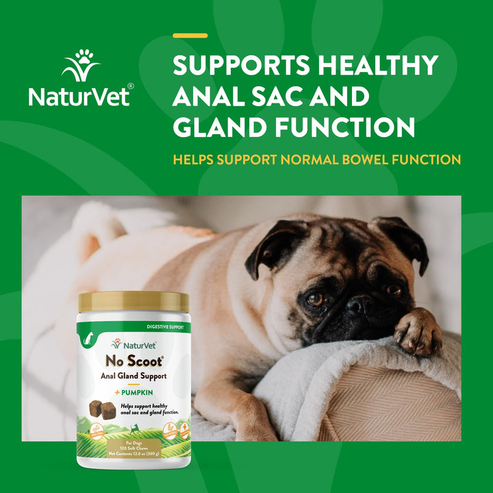- No Scoot for Dogs - 120 Soft Chews - Plus Pumpkin - Supports Healthy Anal Gland & Bowel Function - Enhanced with Beet Pulp & Psyllium Husk