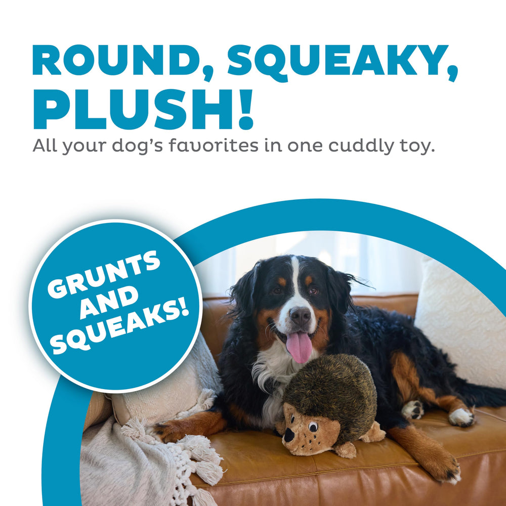 , Hedgehogz Plush Dog Toy, XL