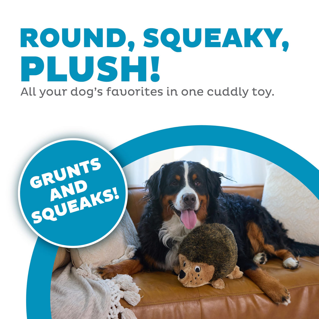 , Hedgehogz Plush Dog Toy, XL