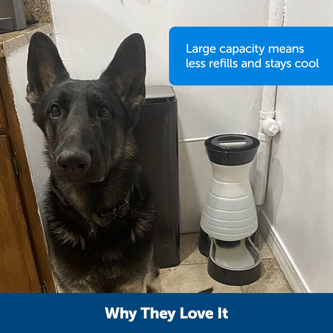 Healthy Pet Water Station - Large, 320 oz Capacity - Gravity Pet Water Fountain, Automatic Cat Water Fountain or Dog Water Fountain - Water Dispenser - Removable Stainless Steel Bowl Included