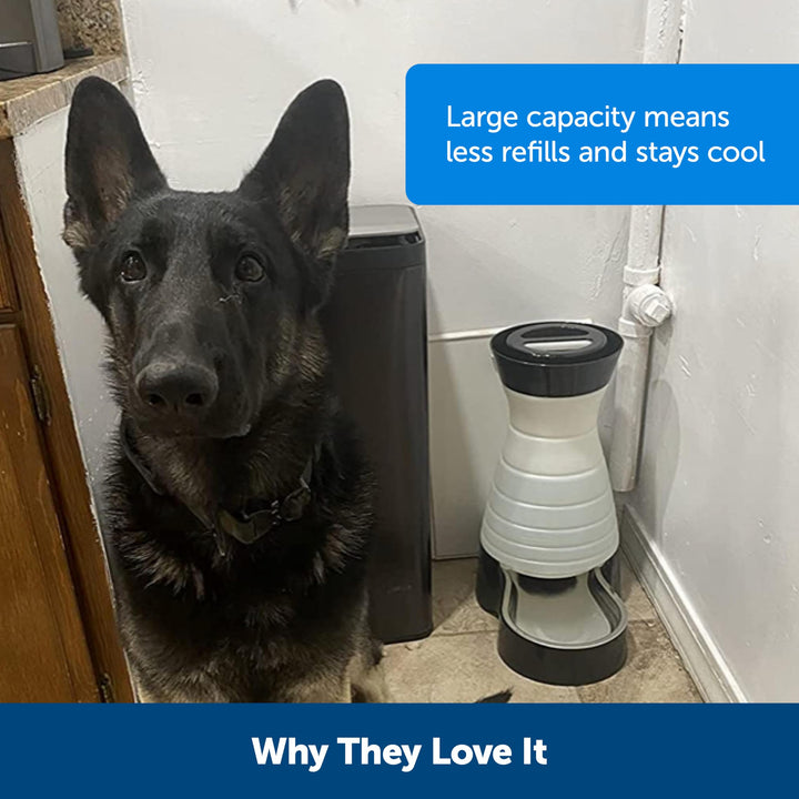 Healthy Pet Water Station - Large, 320 oz Capacity - Gravity Pet Water Fountain, Automatic Cat Water Fountain or Dog Water Fountain - Water Dispenser - Removable Stainless Steel Bowl Included