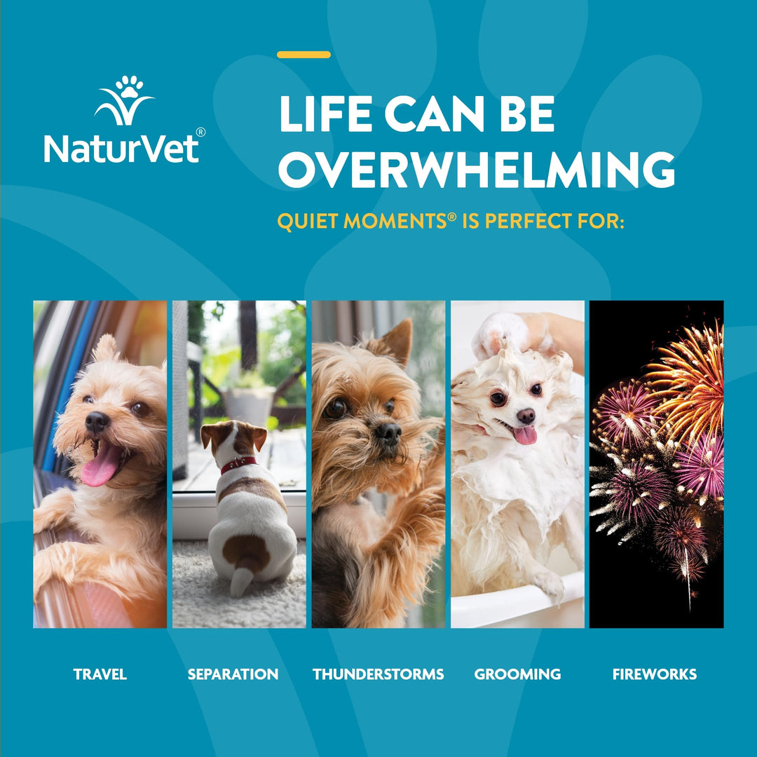Quiet Moments Calming Aid Dog Supplement, Helps Promote Relaxation, Reduce Stress, Storm Anxiety, Motion Sickness for Dogs (Quiet Moments Melatonin, 60 Soft Chews)