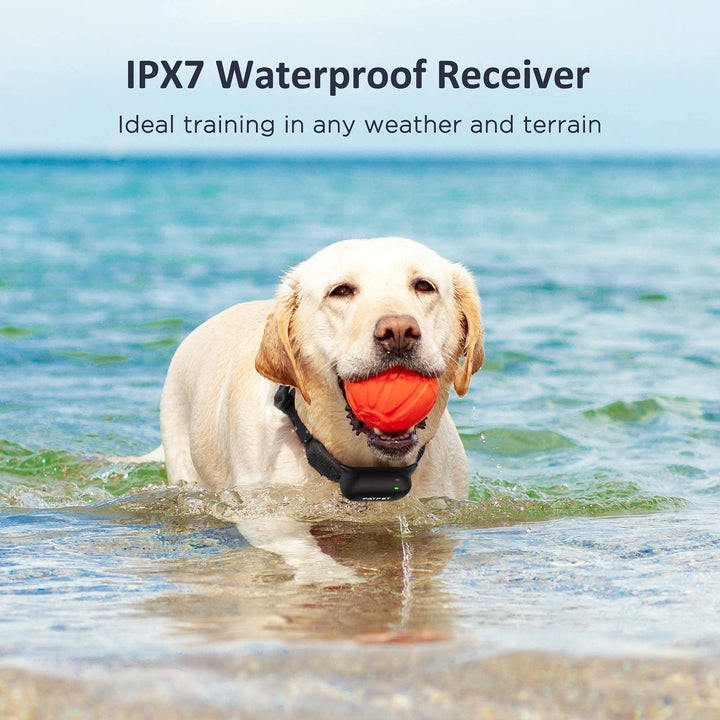 680A Rechargeable Waterproof Training Shock Collar with 3,000 Foot Range Remote and 3 Safe Training Modes for All Dog Sizes 8 to 120 Pounds