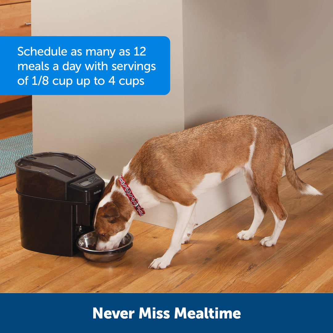 Automatic Cat Feeder - Healthy Pet Simply Feed - Automatic Pet Feeder for Cats & Dogs - Timed Pet Feeder with Programmable Portion Control - Holds 24 Cups of Dry or Semi-Moist Dog or Cat Food