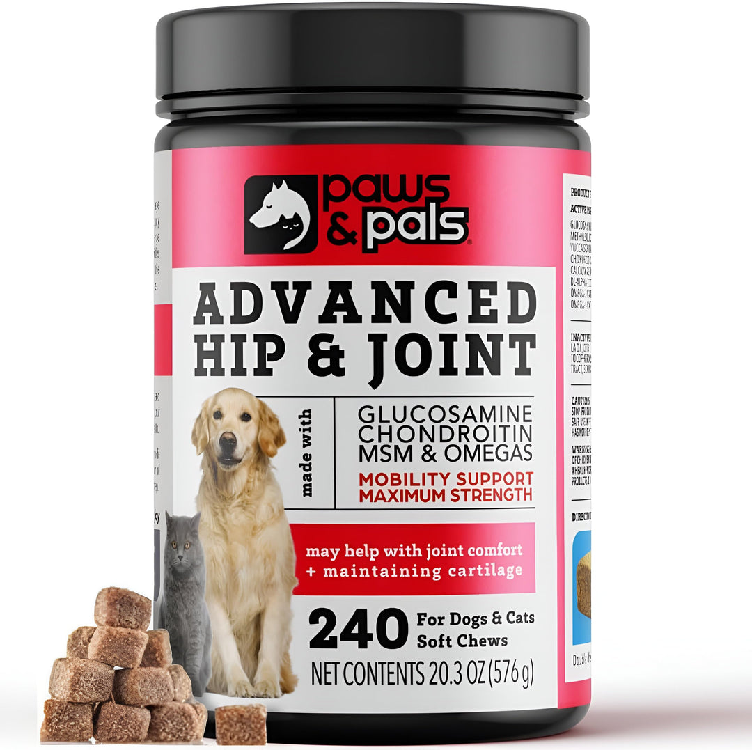 Glucosamine for Dogs, 240 Soft Chews of Advanced Hip and Joint Supplements for Dogs Vet Formulated with Chondroitin & MSM for Mobility Support Keeping your Dog Young – Tasty Flavor