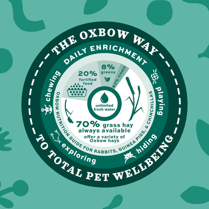 Animal Health Western Timothy Hay, Guinea Pig Hay, Small Pet Bunny Supplies, All Natural Grass for Guinea Pig, Bunny, Chinchilla & Hamster, Rabbit Supplies for Bunnies, 25 lb box