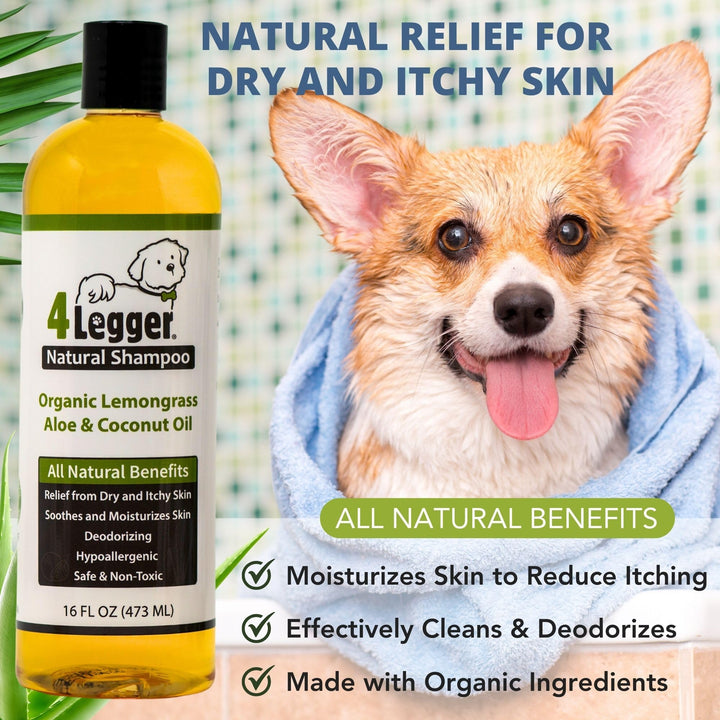 4-Legger Certified Organic Dog Shampoo - All Natural and Hypoallergenic with Aloe and Lemongrass, Soothing for Normal, Dry, Itchy or Allergy Sensitive Skin - Biodegradable - Made in USA - 16 oz