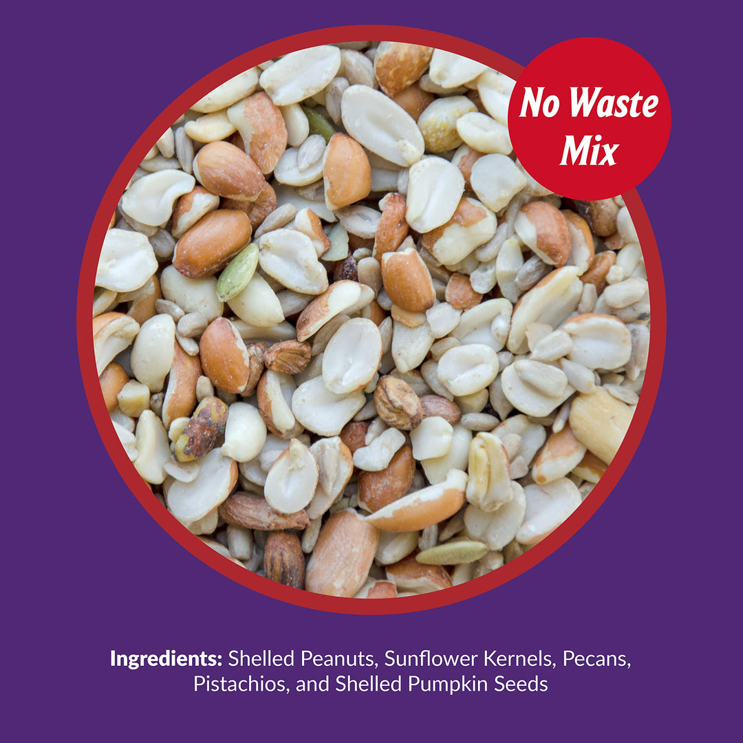 Delite Wild Bird Seed - No Waste Bird Food Mix with Shell-Free Nuts & Seeds - Attracts Buntings, Chickadees & Finches - 5 lb bag