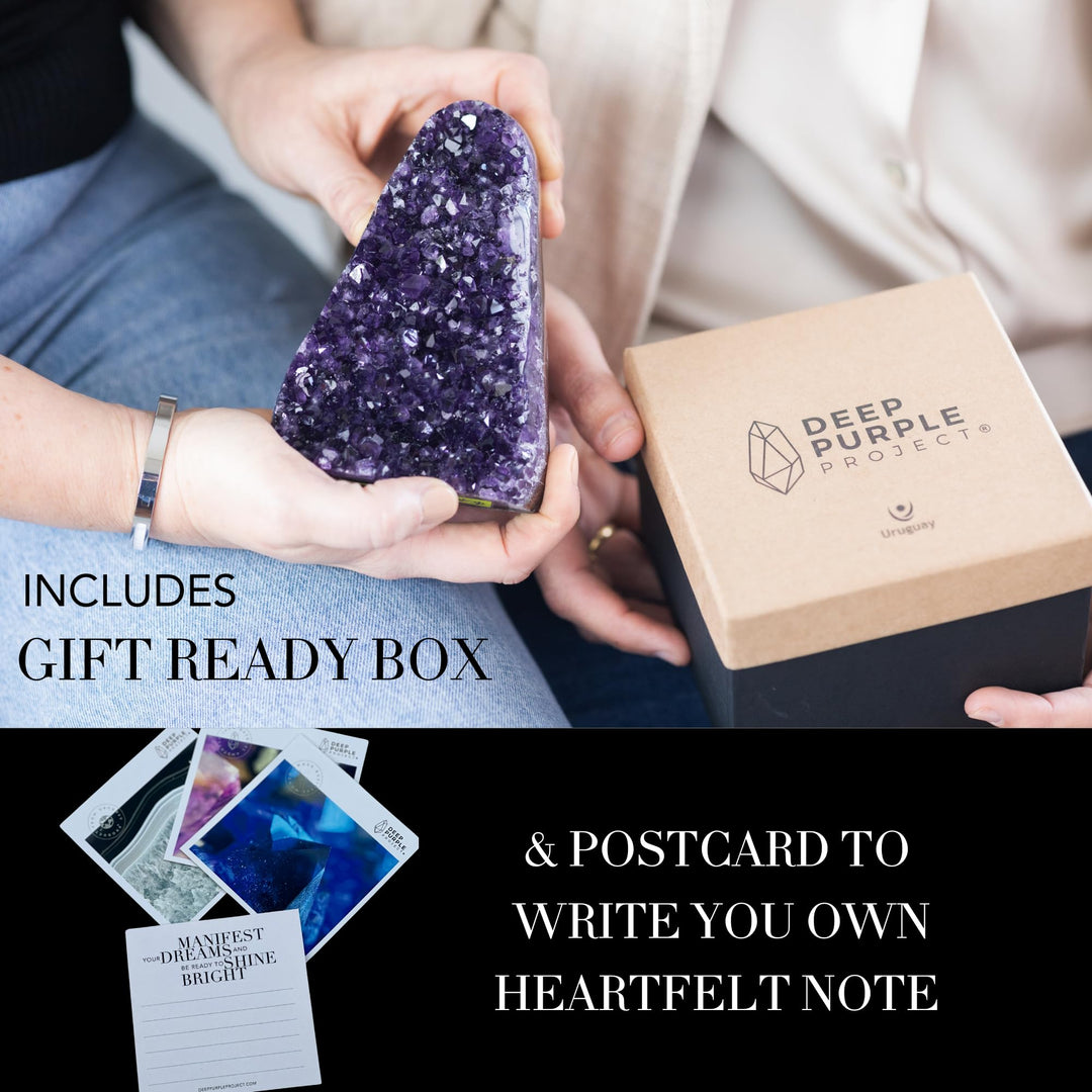 DEEP PURPLE PROJECT Large Amethyst Clusters 1 Lb to 1.7 Lb Quartz Crystal Geode Plus: Premium Gift Box Spiritual Healing Stone
