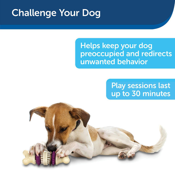 Busy Buddy Bristle Bone - Treat-Holding Toy for Dogs - Treat Rings Included - Treats Thoroughly Mixed During Bake to Prevent Choking - Rigorously Tested Ingredients - Purple, Small