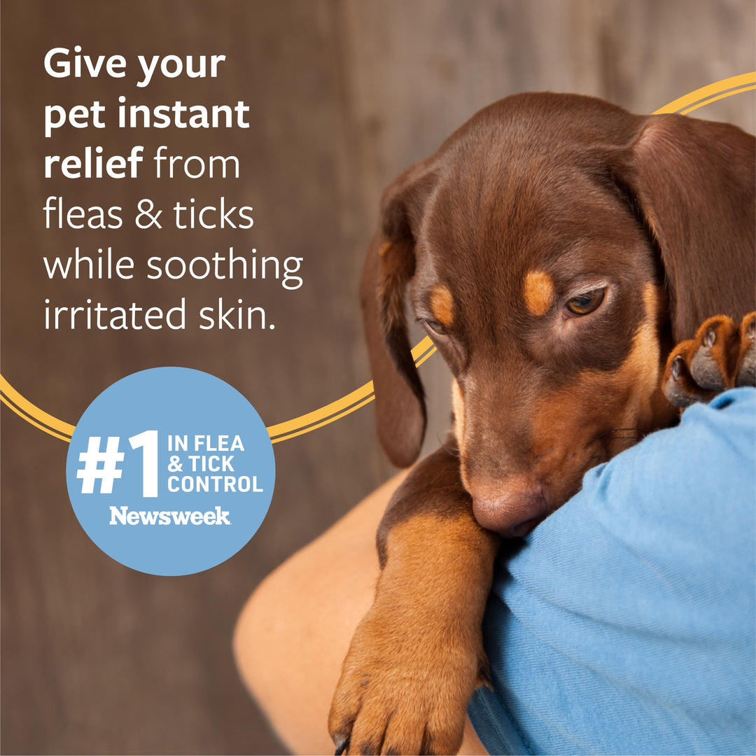 Flea and Tick Shampoo for Dogs and Cats, 16 oz