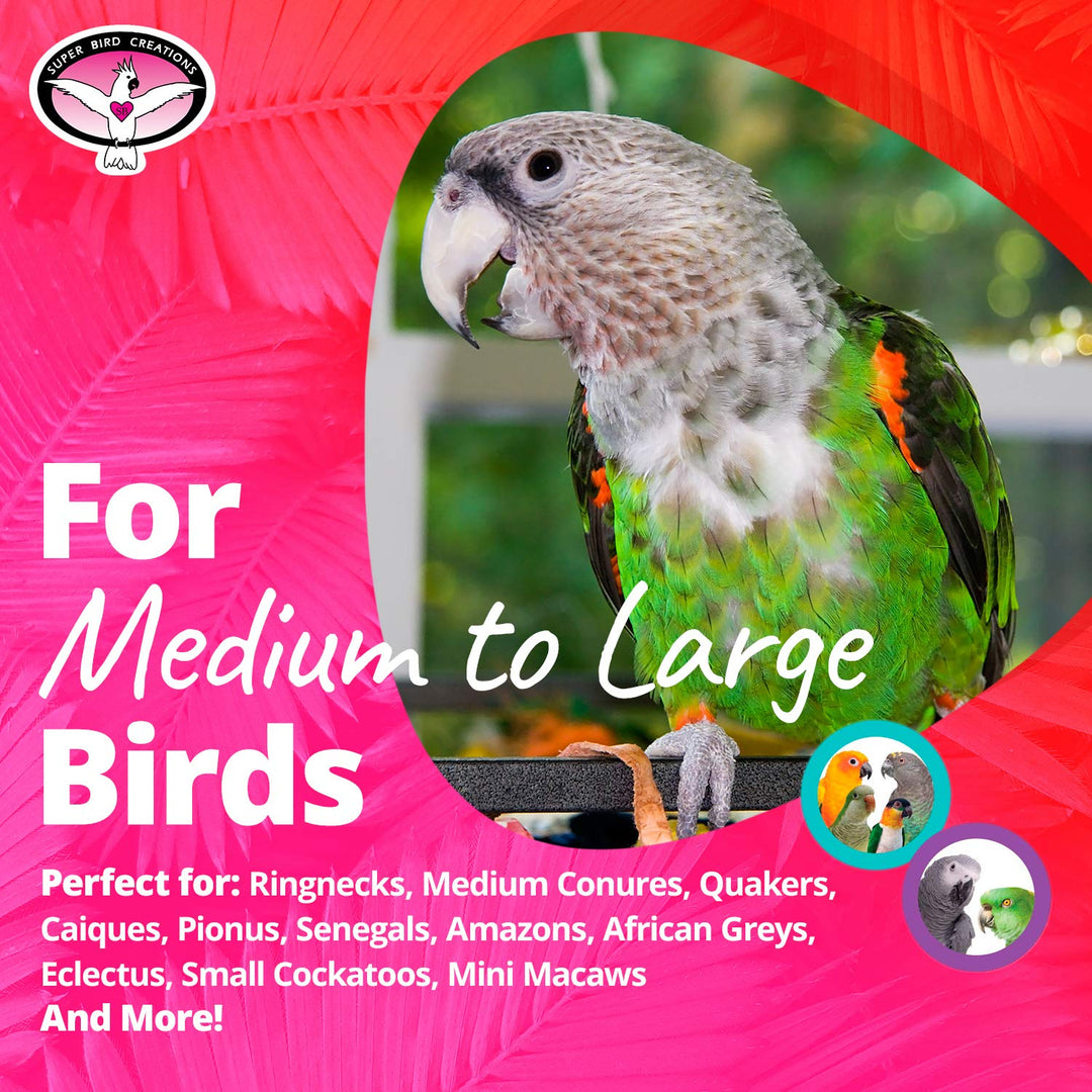 - SB301 Chewable Paper Party Bird Toy with Colorful Lollipop Sticks - Ringnecks Medium Conures Parrot - Chew Enthusiasts - Enriching Bird Toys for Medium to Large Birds - 1-Pack