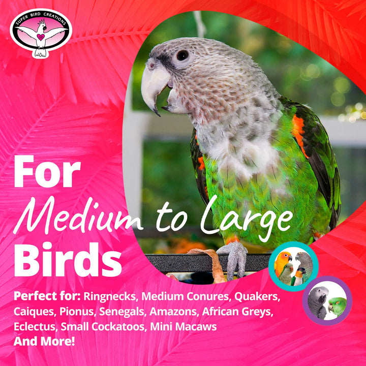 - SB301 Chewable Paper Party Bird Toy with Colorful Lollipop Sticks - Ringnecks Medium Conures Parrot - Chew Enthusiasts - Enriching Bird Toys for Medium to Large Birds - 1-Pack