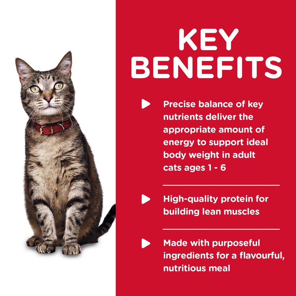 Adult 1-6, Adult 1-6 Premium Nutrition, Wet Cat Food, Chicken Stew, 5.5 oz Can, Case of 24