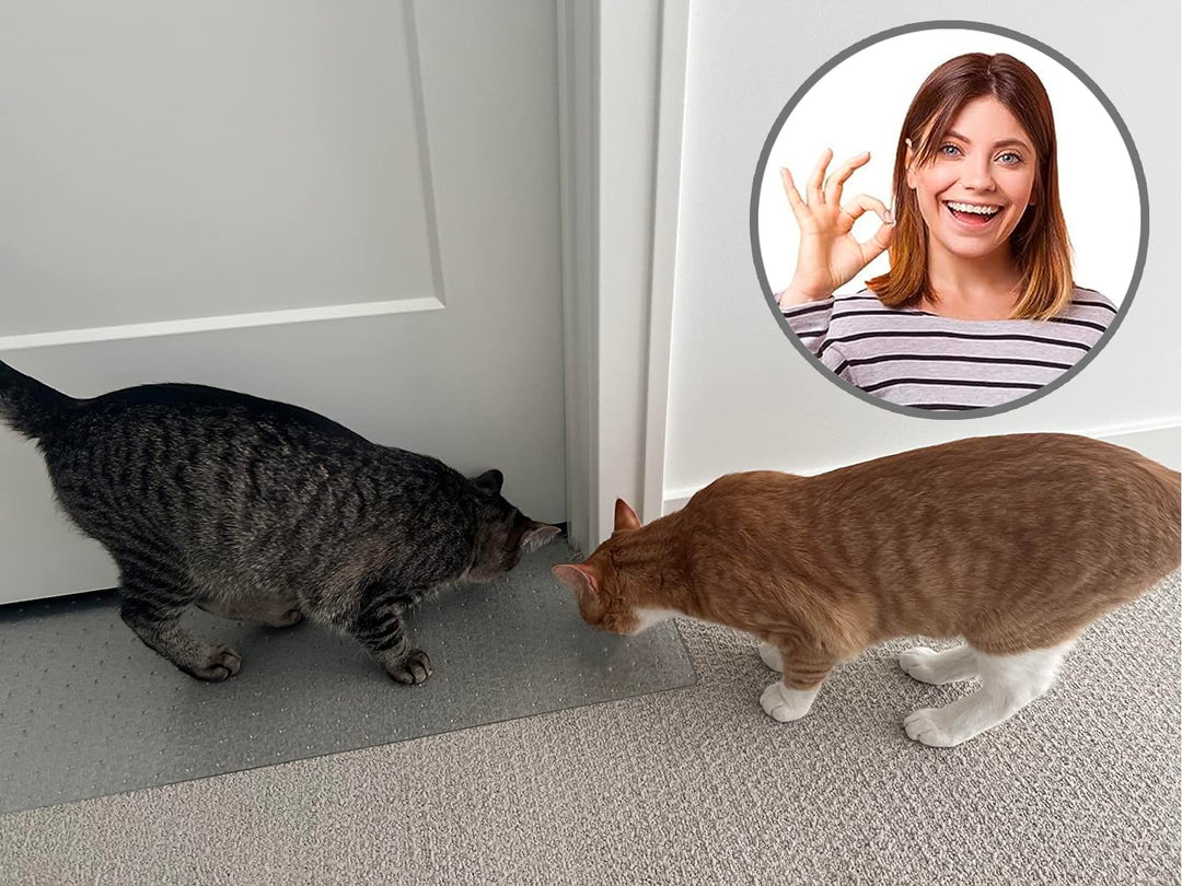 Carpet Scratch Stopper-Stop Cats from Scratching Carpets at Doorways Instantly-PRECUT to Fit Your Door-Requires No Cutting or Modification-5 Year Warranty-Patented