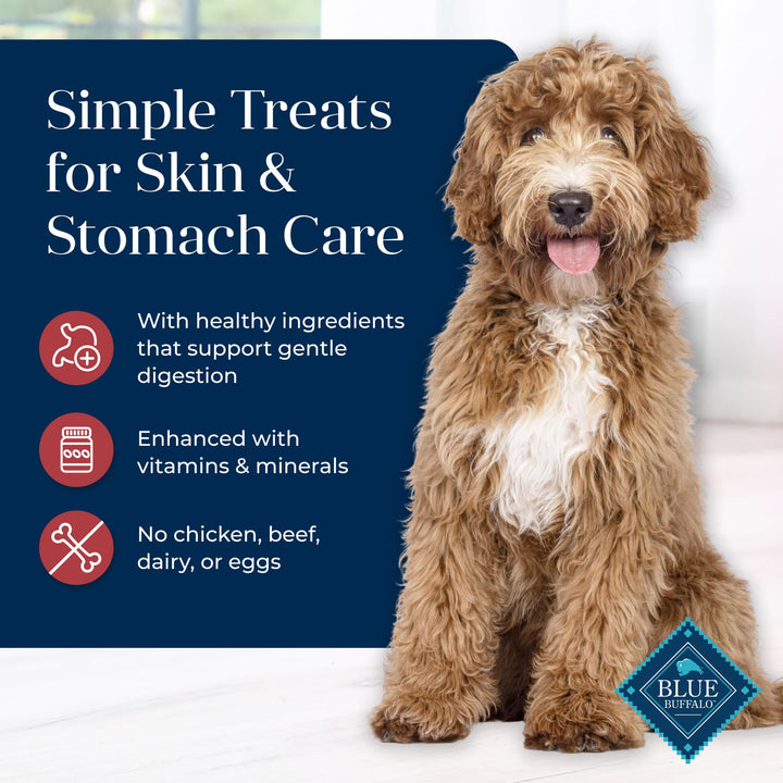 Basics Crunchy Dog Biscuits for Skin & Stomach Care, Limited Ingredient Diet Dog Treats, Salmon & Potato Recipe, 6-oz. Bag