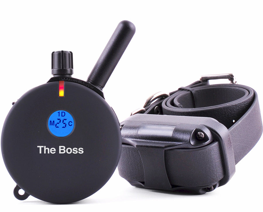 E-Collar Humane Dog Training Collar with Remote, Features 100 Levels of Safe Stimulation, Tapping Sensation, Night Light, Waterproof, Rechargeable, 1 Mile 1 Dog, Black